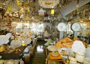 Negozio Ameglia - foto 2