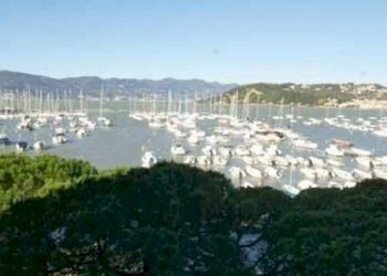 Trilocale Lerici - foto 13