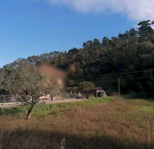 Agricultural land Sarzana - photo 2