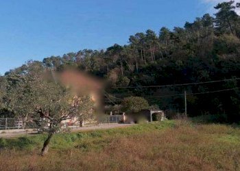 Terreno agricolo Sarzana - foto 2