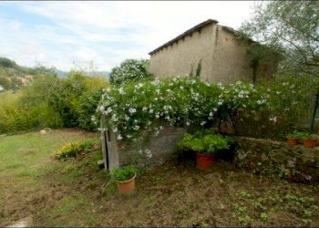 Villa Ameglia - foto 2