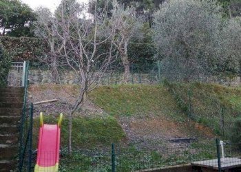 Trilocale Ameglia - foto 5