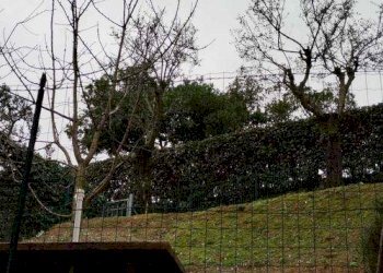 Trilocale Ameglia - foto 6