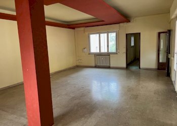 IMG_6172.jpg - Appartamento Pistoia - foto 1