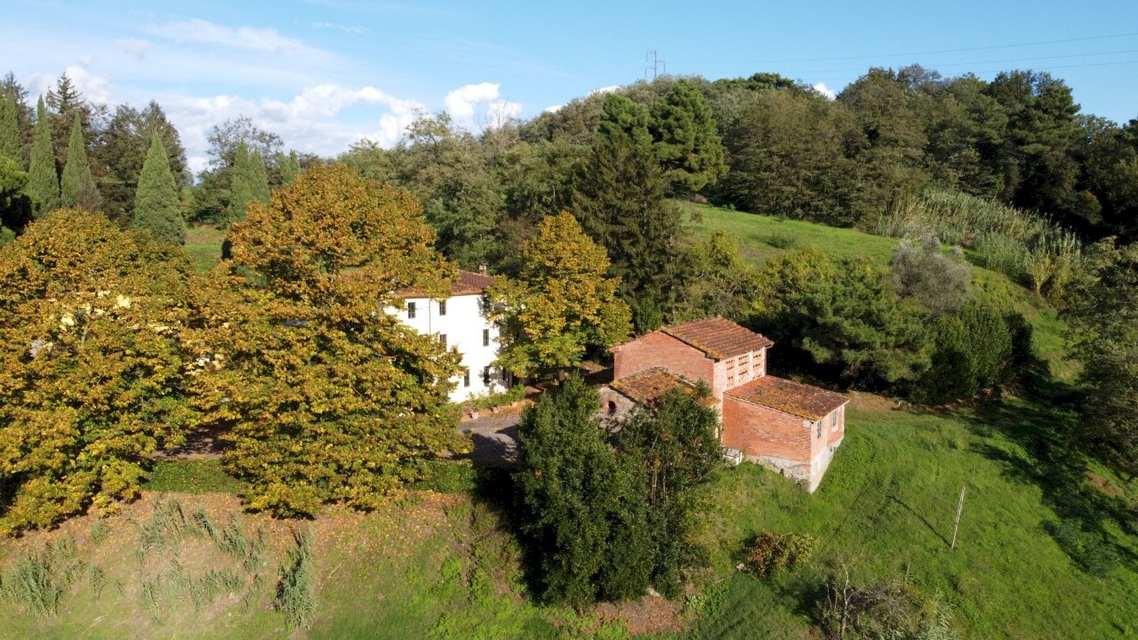 azienda agricola in vendita a Lucca (15).JPG - Casale Via Tofori, Capannori - foto 2