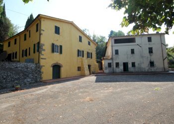 azienda agricola in vendita a lucca (9).JPG - Casale Via Tofori, Capannori - foto 4