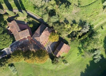 azienda agricola in vendita a Lucca (16).JPG - Casale Via Tofori, Capannori - foto 3