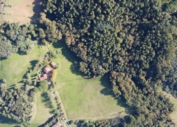 azienda agricola in vendita a Lucca (2).JPG - Casale Via Tofori, Capannori - foto 6