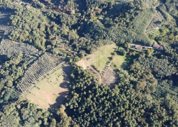 azienda agricola in vendita a Lucca (7).JPG - Casale Via Tofori, Capannori - foto 7