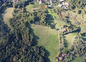 azienda agricola in vendita a Lucca (11).JPG - Casale Via Tofori, Capannori - foto 8