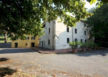 azienda agricola in vendita a lucca (5).JPG - Casale Via Tofori, Capannori - foto 11