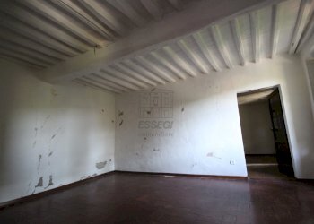 azienda agricola in vendita a lucca (1).JPG - Casale Via Tofori, Capannori - foto 18