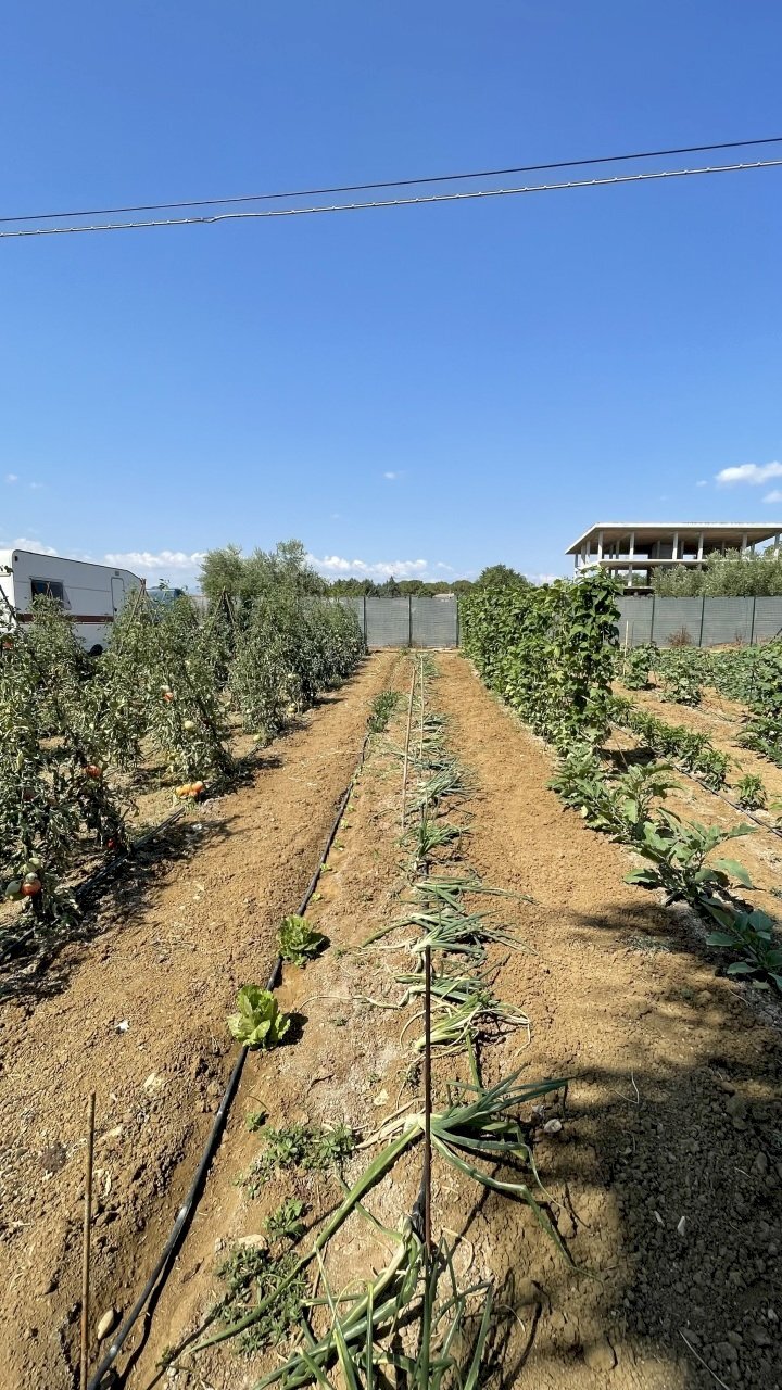 image00002.jpeg - Building land Città Sant'Angelo - photo 2
