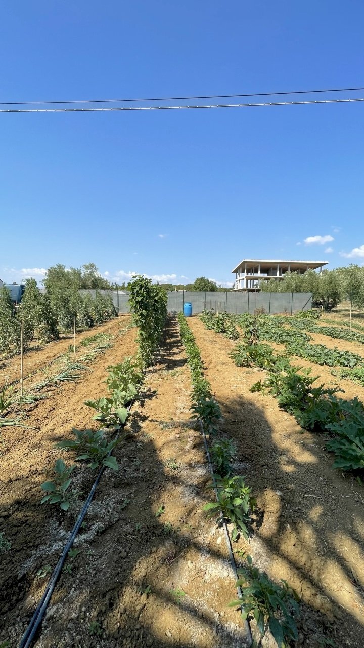 image00003.jpeg - Building land Città Sant'Angelo - photo 3