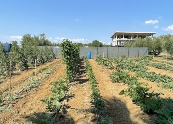 image00003.jpeg - Building land Città Sant'Angelo - photo 3