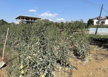 image00004.jpeg - Building land Città Sant'Angelo - photo 4