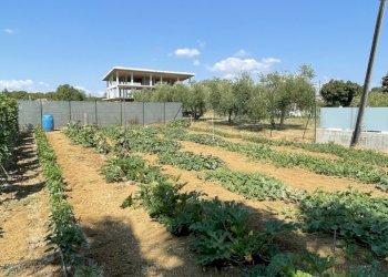 image00006.jpeg - Building land Città Sant'Angelo - photo 6