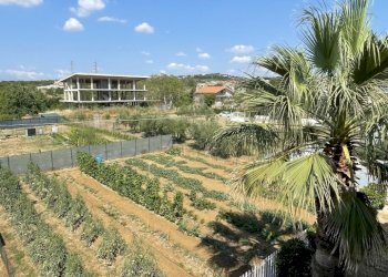 image00013.jpeg - Building land Città Sant'Angelo - photo 13