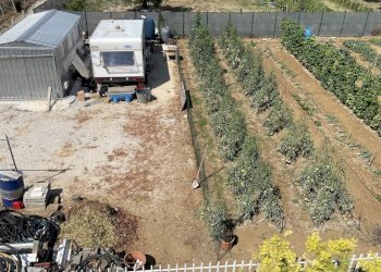 image00020.jpeg - Building land Città Sant'Angelo - photo 19