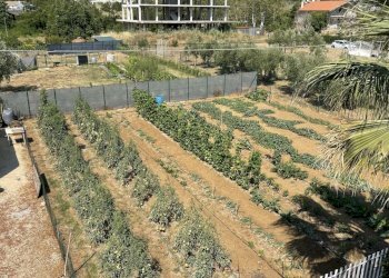 image00021.jpeg - Building land Città Sant'Angelo - photo 20