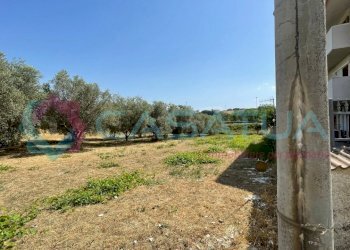 uliveto - Agricultural land Contrada Piomba 22, Silvi - photo 4