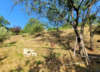 whatsapp image 2023 07 15 at 10 24 19  6 - Villa a Schiera viale Luigi Corsi, Carcare - foto 13