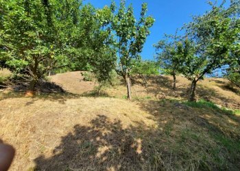 whatsapp image 2023 07 15 at 10 24 19  7 - Villa a Schiera viale Luigi Corsi, Carcare - foto 14