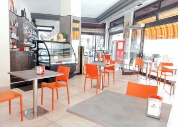 whatsapp image 2023 09 04 at 15 10 22 4 - Bar Tavola Calda - Fredda corso Tardy & Benech, Savona (zona Oltreletimbro) - foto 2