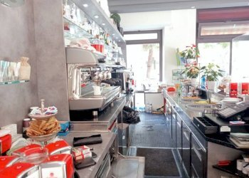 whatsapp image 2023 09 04 at 15 10 22 3 - Bar Tavola Calda - Fredda corso Tardy & Benech, Savona (zona Oltreletimbro) - foto 7