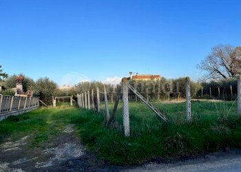 PHOTO-2024-01-15-16-07-41 2.jpg - Terreno edificabile Via Cellere 1, Nettuno - foto 1