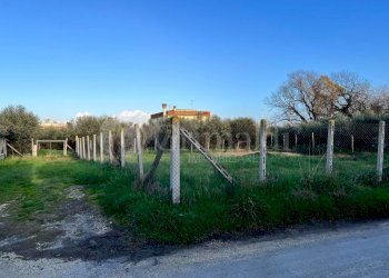 PHOTO-2024-01-15-16-07-41.jpg - Terreno edificabile Via Cellere 1, Nettuno - foto 3