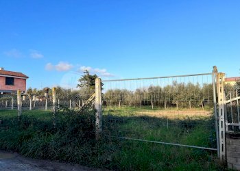 PHOTO-2024-01-15-16-07-42 2.jpg - Terreno edificabile Via Cellere 1, Nettuno - foto 5