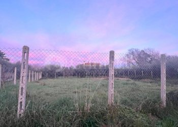 PHOTO-2024-01-08-17-16-09.jpg - Terreno edificabile Via Cellere 1, Nettuno - foto 6