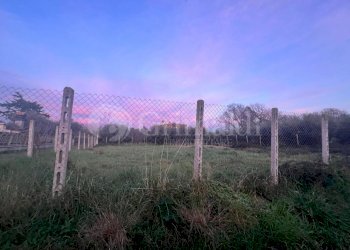 PHOTO-2024-01-08-17-16-10.jpg - Terreno edificabile Via Cellere 1, Nettuno - foto 7