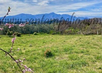Villa località morghe, Dolceacqua - photo 13