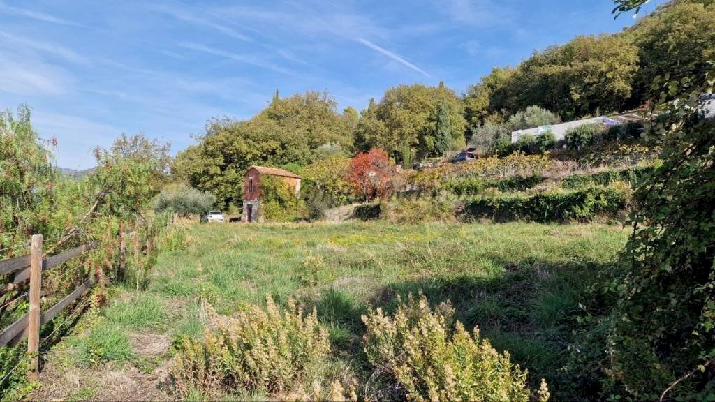 Terreno - Rustico strada maciurina, Vallebona - foto 1