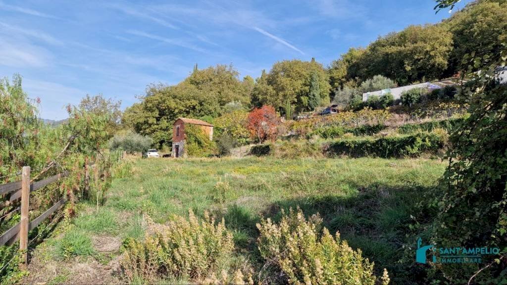 Terreno - Rustico strada maciurina, Vallebona - foto 1