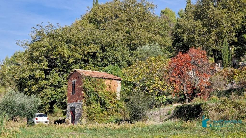 Terreno - Rustico strada maciurina, Vallebona - foto 2