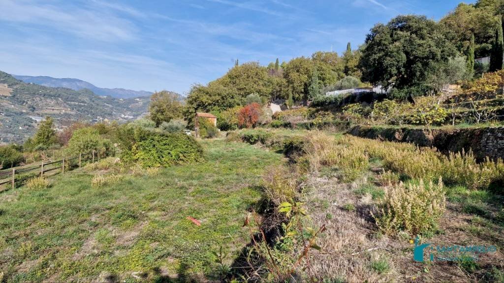 Terreno - Rustico strada maciurina, Vallebona - foto 3
