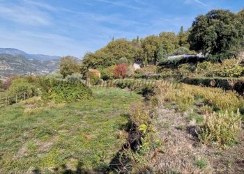 Terreno - Rustico strada maciurina, Vallebona - foto 3