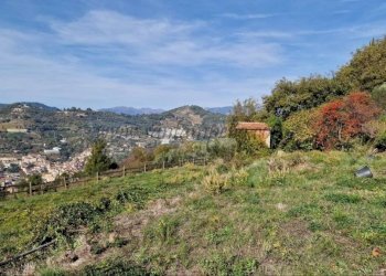 Terreno - Rustico strada maciurina, Vallebona - foto 6