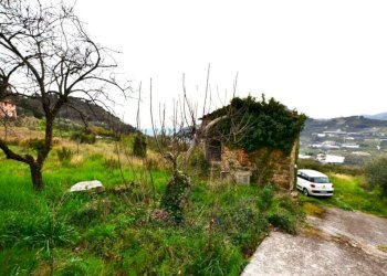 Terreno - Rustico strada maciurina, Vallebona - foto 12