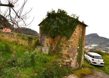 Terreno - Rustico strada maciurina, Vallebona - foto 13