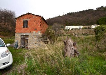 Terreno - Rustico strada maciurina, Vallebona - foto 14