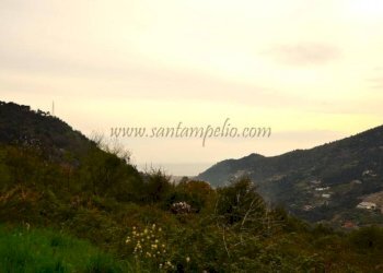 Vista - Rustico strada maciurina, Vallebona - foto 16