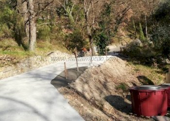 Terreno - Rustico strada maciurina, Vallebona - foto 17