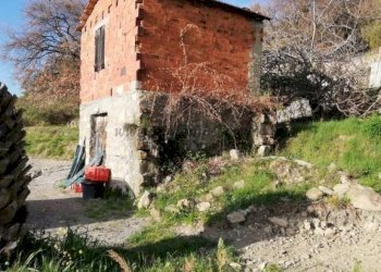 Terreno - Rustico strada maciurina, Vallebona - foto 18