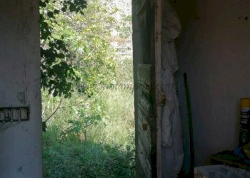 Terreno - Rustico strada maciurina, Vallebona - foto 21