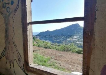 Vista - Rustico strada maciurina, Vallebona - foto 22