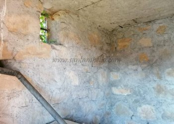 Altro - Rustico strada maciurina, Vallebona - foto 23